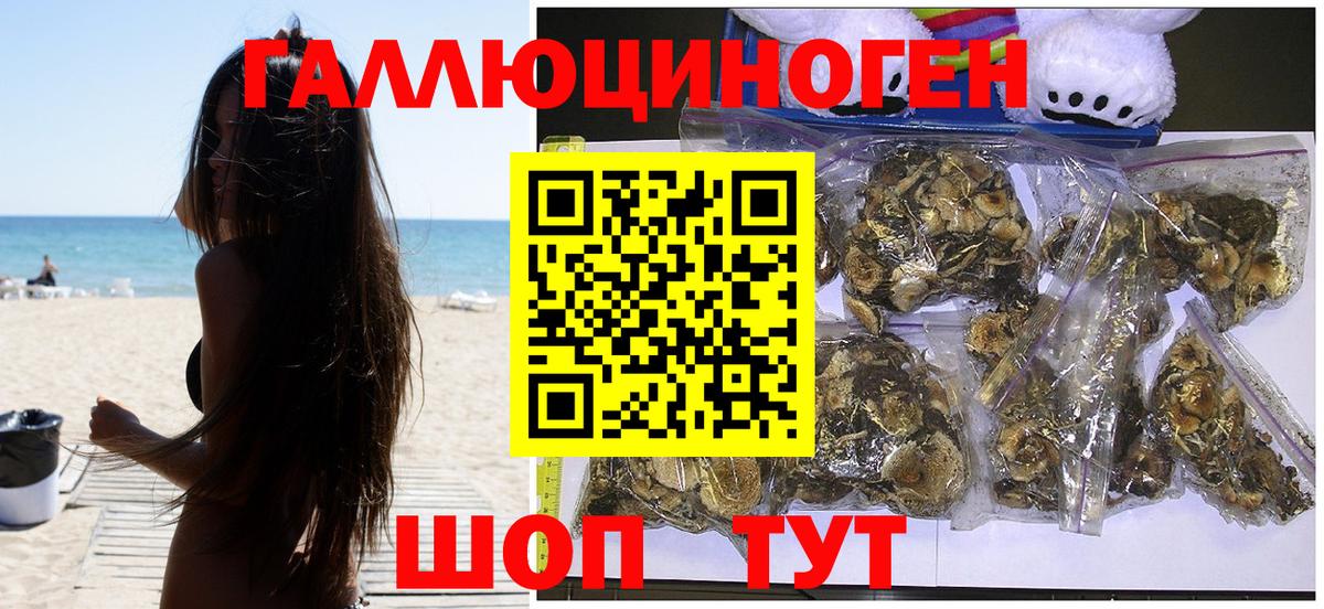 Псилоцибиновые грибы ЛСД  Вход с VPN  Большой Камень  Галлюциногенные грибы Psilocybine cubensis 